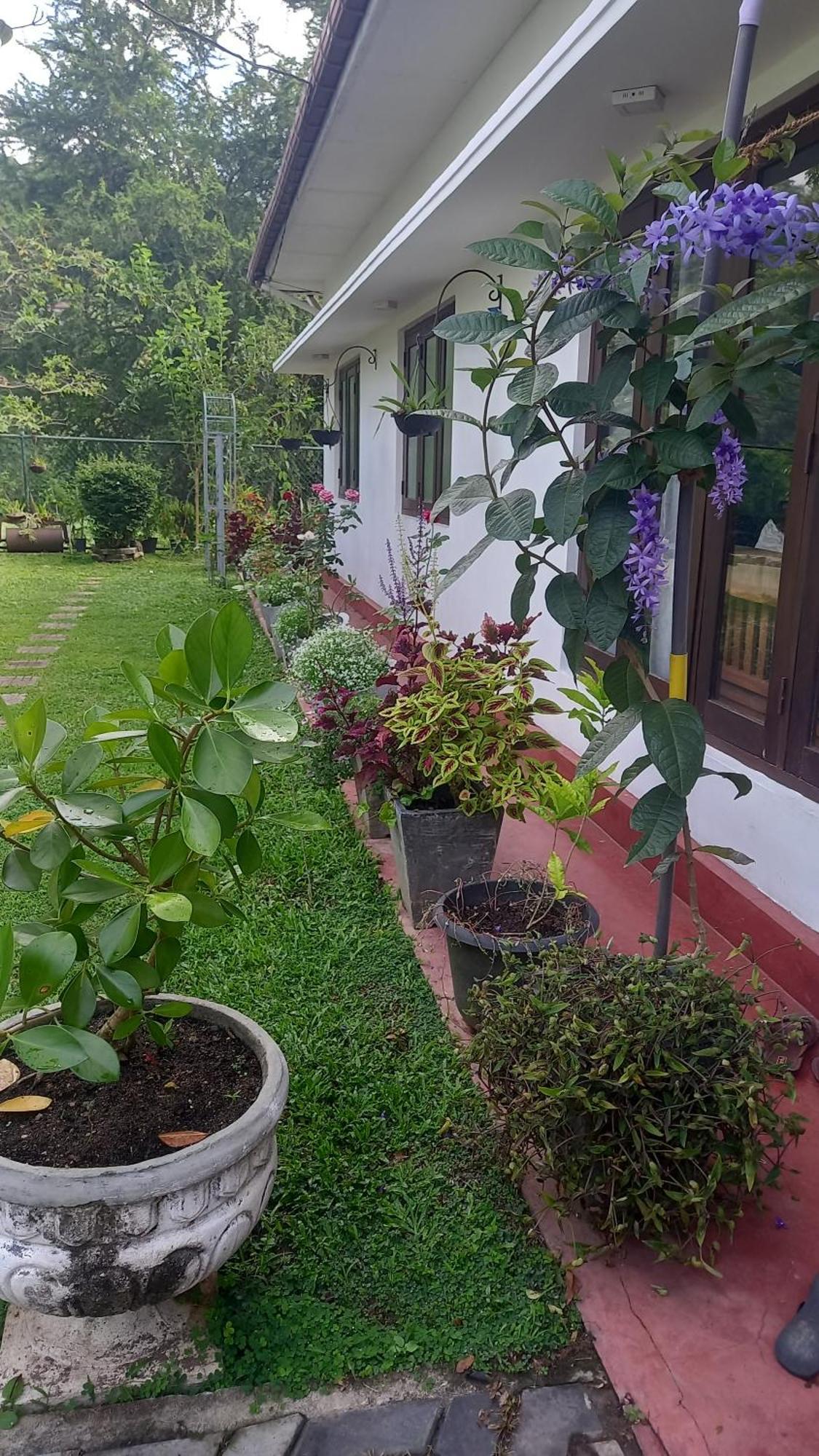 Hotel Mahaweli Shades Kandy Exterior foto